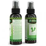 Elite Sportz Equipment Foot and Shoe Odor Spray Review 615