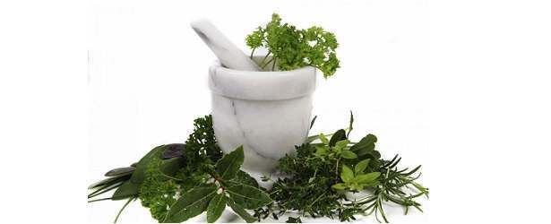 Kill Fungus Naturally with Herbs